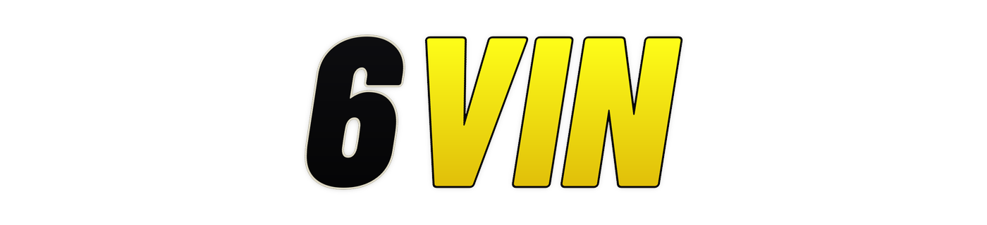 6vin logo